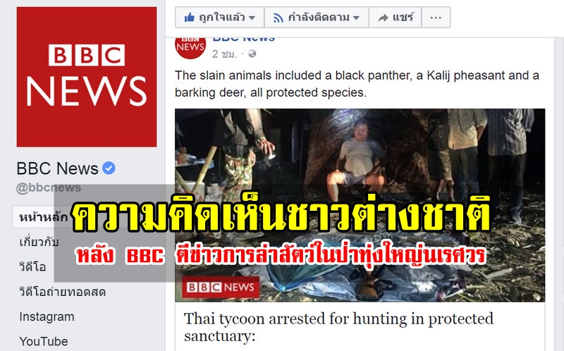 ความคิดเห็นชาวต่างชาติหลัง BBC ตีข่าวการล่าสัตว์ในทุ่งใหญ่นเรศวร