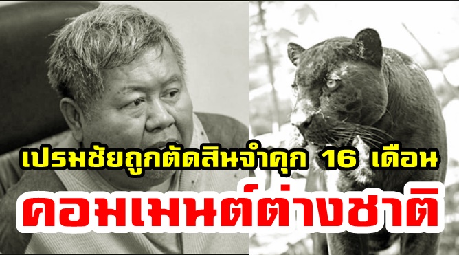 เปรมชัยถูกตัดสินจำคุก 16 เดือน คดีฆ่าเสือดำ